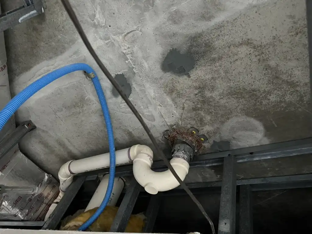 St. Nicole and Cutting Edge Plumbing